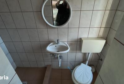 Casă cu 10 camere cu Teren 300 Mp în Sânmartin - 16