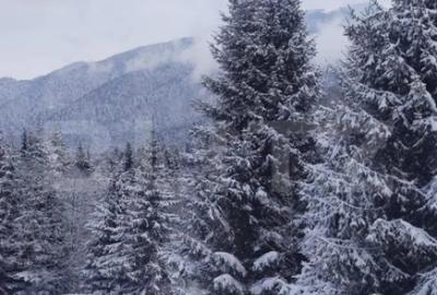 Garsonieră semidecomandată, mobilată în Central - 12