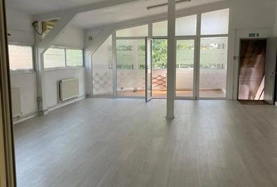 Spatiu de inchiriat Iancului - 1