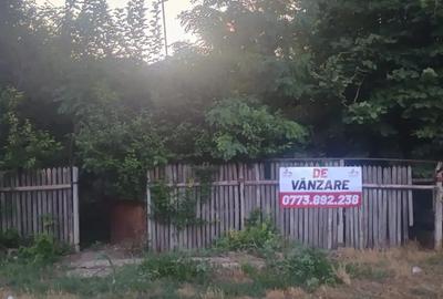 Casa batraneasca Bradeanu - 7