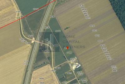 Teren agricol extravilan de 1000 mp, în Moara Vlăsiei - 4