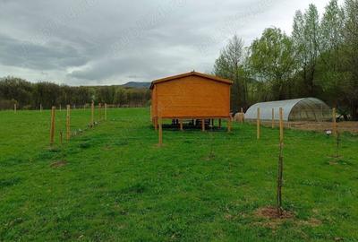 Teren de 16800 mp, în Sibiel - 5
