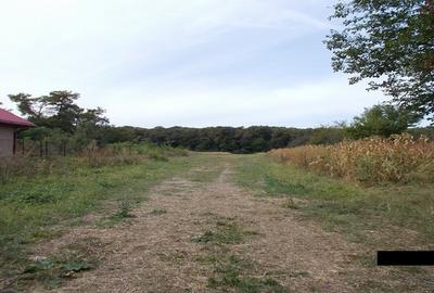 Teren intravilan ,Crevedia - 2