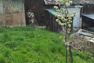 Casă cu 2 camere cu Teren 960 Mp în Ardeova - 3