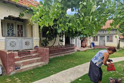 Casă cu 2 camere în Cașin - 1