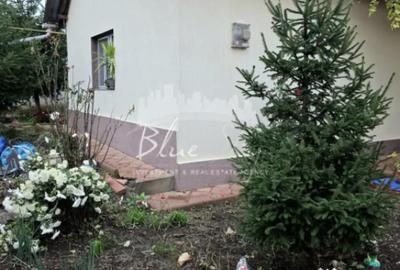 Casă cu 3 camere cu Teren 321 Mp în Valu lui Traian - 8