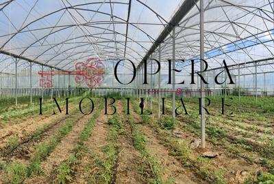 Oportunitate de investitie! Cladire + sera, de vanzare, Aroneanu - Rediu Aldei