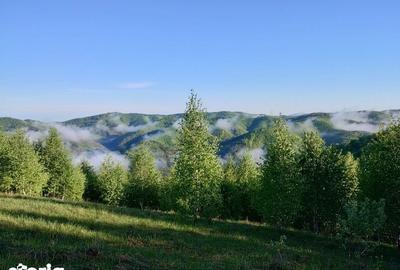 Teren de 7770 mp, în Holbav - 4