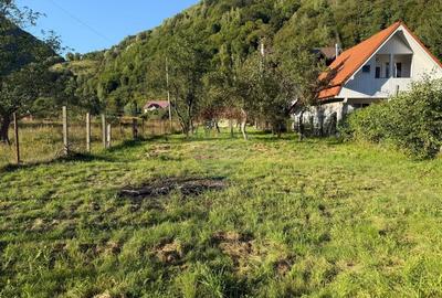 Casa de vacanta pe Valea Lotrioarei in cadru de vis - 6