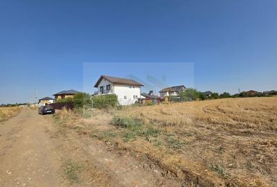 Teren intravilan 5.450 mp - Strada Castanilor, Ciorogârla - zonă rezidențială în - 2
