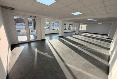 Spațiu comercial, de 290 mp, în Siliștea - 8