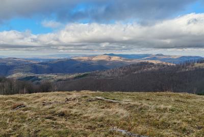 19,5 Ha  TEREN PEISAJ PANORAMIC SPECTACULOS zona turistica montana BULZ -  BIHOR - 28