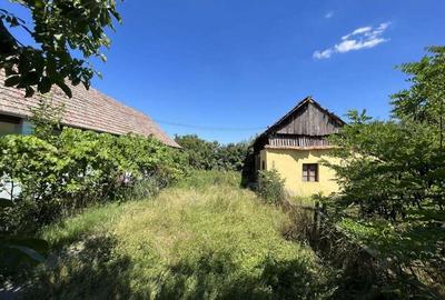 Casa Demolabila Cu Teren 2948 mp In Becicherecu Mic,Vatra Veche,Asfalt,Fs 38m Casa Demolabila Cu Teren 2948 mp In Becicherecu Mic,Vatra Veche,Asfalt,Fs 38m - 1