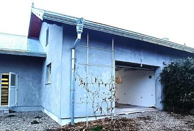 Casa in Mitocul Dragomirnei - 17