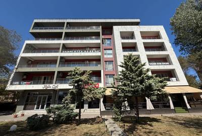 Pescarie Sat Vacanta / Apartament  prima inchiriere / nou - 25