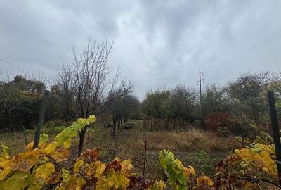 COMISION 0% | 2 Case Individuale | Zona Freidorf | 5 Camere | - 22