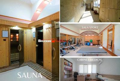 Spațiu comercial, de 100,000 mp, în Sarcău - 3