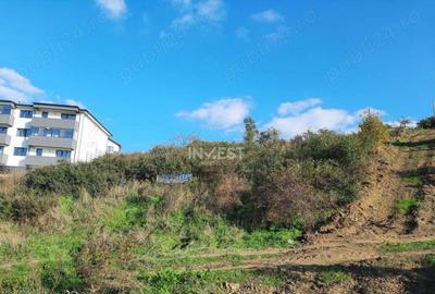 Teren Intravilan - Hlincea Teren Intravilan - Hlincea - 11