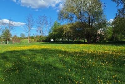 Teren Construcții intravilan de 3600 mp, în Brehuiești - 3