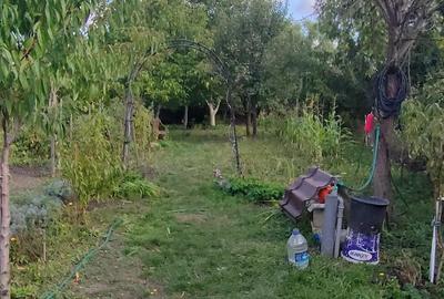 Casa 15 km de Timi?oara de vanzare - 5