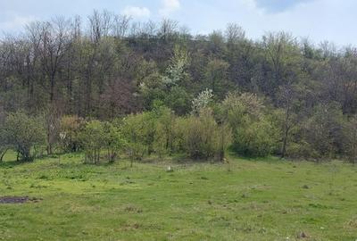 Teren de 3100 mp, în Axintele - 4