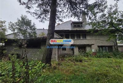 Spațiu comercial, în Valea Cerbului - 14