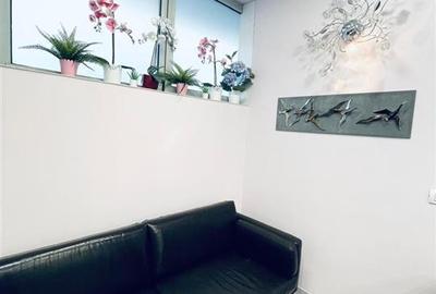 Spatiu Comercial Traian Mosilor Stradal Parcare proprie - 11