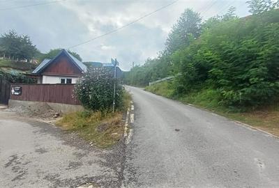 Casa de vanzare in Saliste aproape de Transalpina - 2