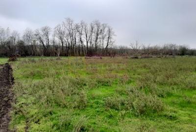 BARCANESTI -  casa +curte+teren 16k mp - 24