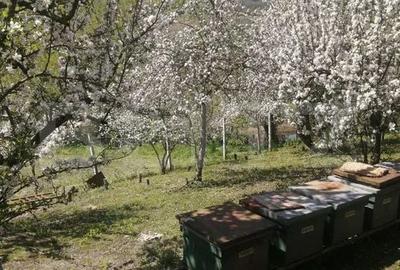 Casă cu 4 camere în Păcureni