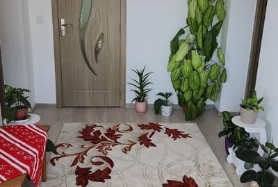 Casa individuala si 600 mp teren in Sic, Cluj - O oportunitate rara - 5