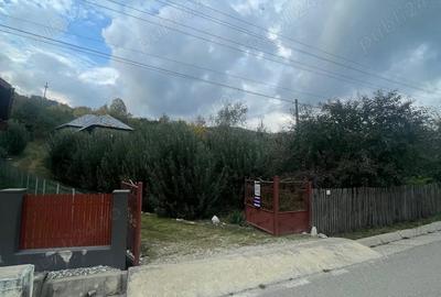 Casa cu teren de vanzare in comuna Botesti, judetul Arges - 3