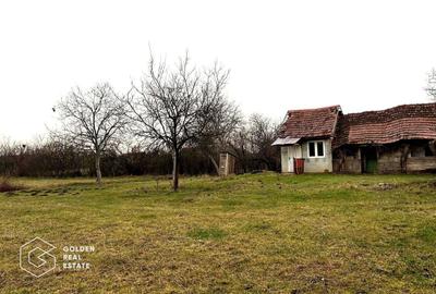 Teren Construcții intravilan de 2880 mp, în Șiria - 7