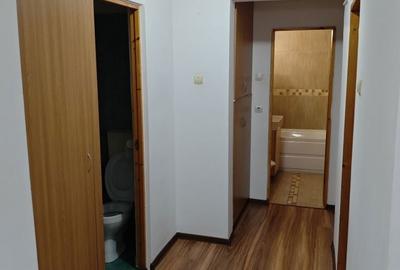 Apartament cu 3 camere decomandat în Paltiniș - 7