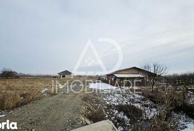 Teren de 1275 mp, în Turcinești - 3