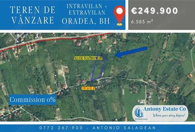 Teren de 6583 mp, în Dealuri Oradea