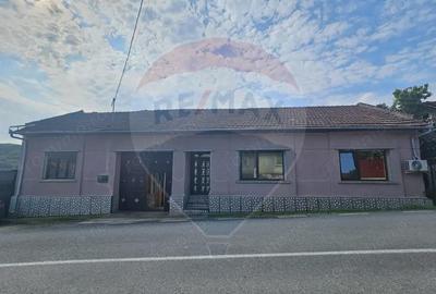 Casă cu 4 camere cu Teren 1371 Mp în Crivina - 4