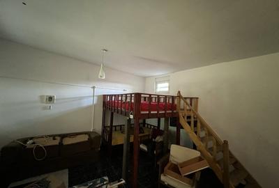 Casa-langa studiourile Buftea, 2 constructii, curte cu pomi, 2500mp, langa lac - 6