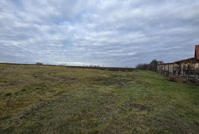 Teren de 14231 mp, în Biharia - 2