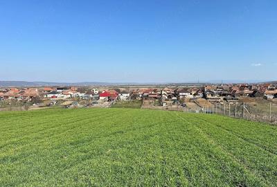 Teren de 5375 mp, în Cheriu - 1
