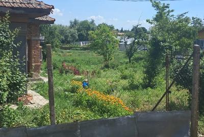 Casă cu 3 camere cu Teren 2000 Mp în Hotarele - 4