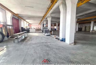 Hale noi in Baicoi, Ph--13.000mp--3e - 12