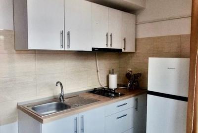 Inchiriere garsoniera cocheta, zona Blumana - 4