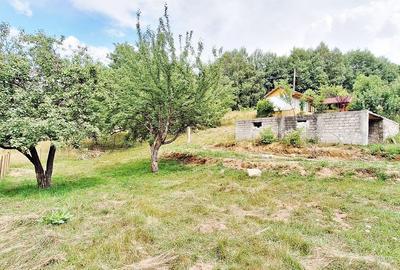 Bran- Predelut, 1000mp teren pentru casa de vacanta, pret 45 euro/mp - 11