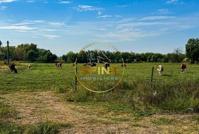 Chiselet, Calarasi, teren intravilan cu potential de investitie 62000 mp - 8