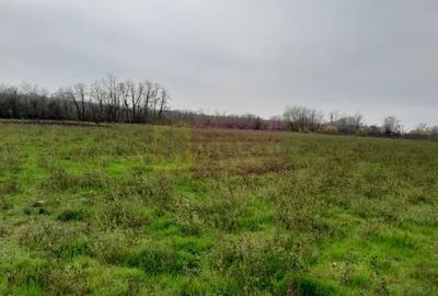 BARCANESTI -  casa +curte+teren 16k mp - 54