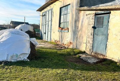 Spațiu comercial, în Curtișoara - 1