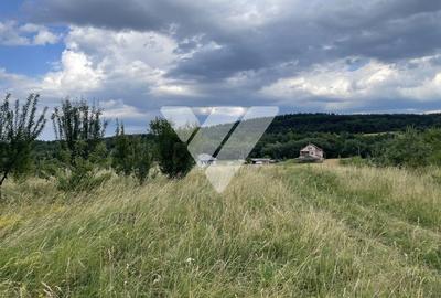 Teren intravilan 1200 mp - Poplaca, Sibiu - Investitie ideala - 3