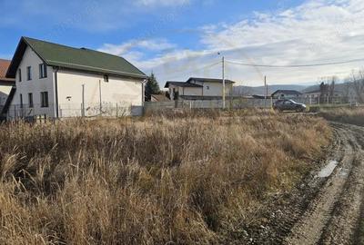 Teren de 1250 mp, în Bascov - 3