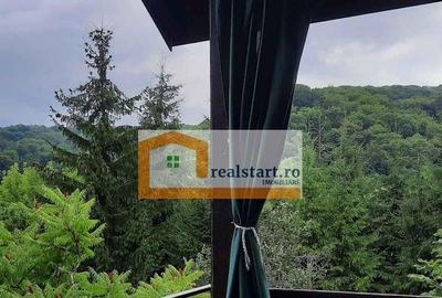 Centru Evenimente, Afacere la cheie, Restaurant cu MiniPe...
